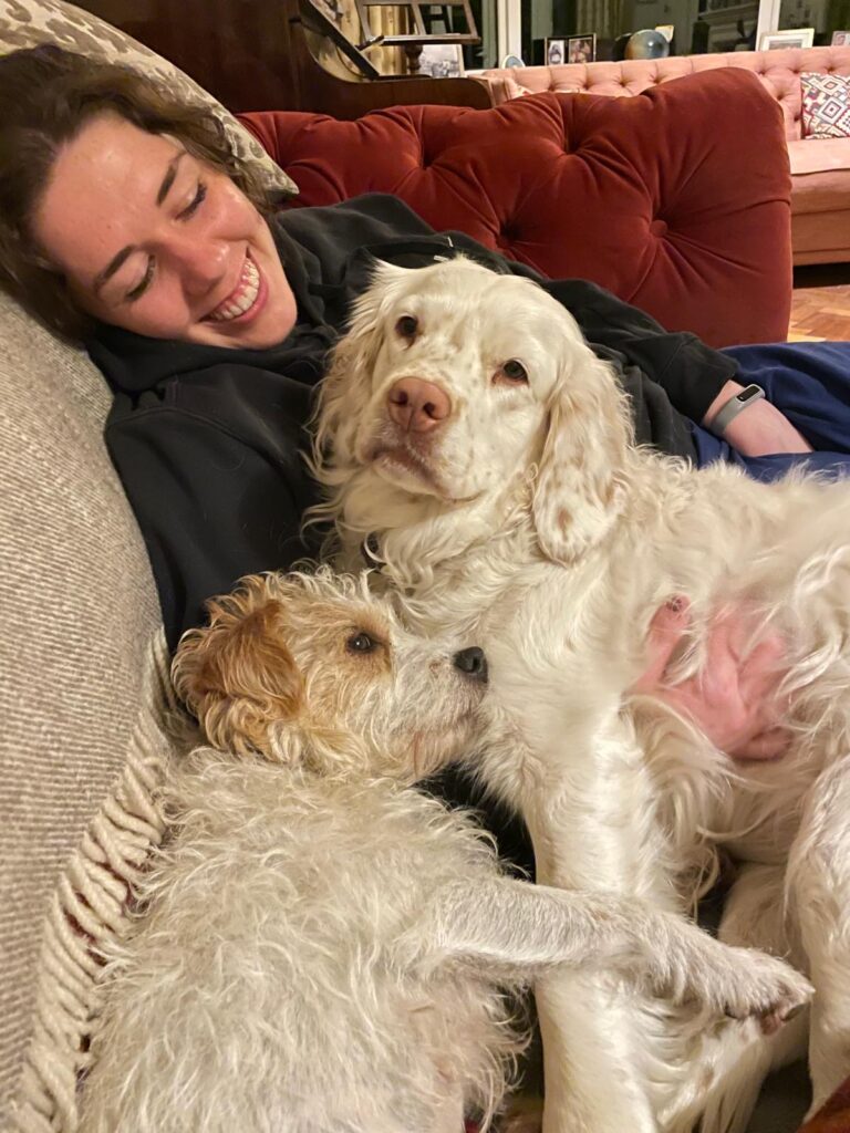 c37c566a e3d8 40ba bd66 9610f6a1967f 2